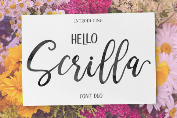 Elegant & Modern Hello Scrilla Script Font